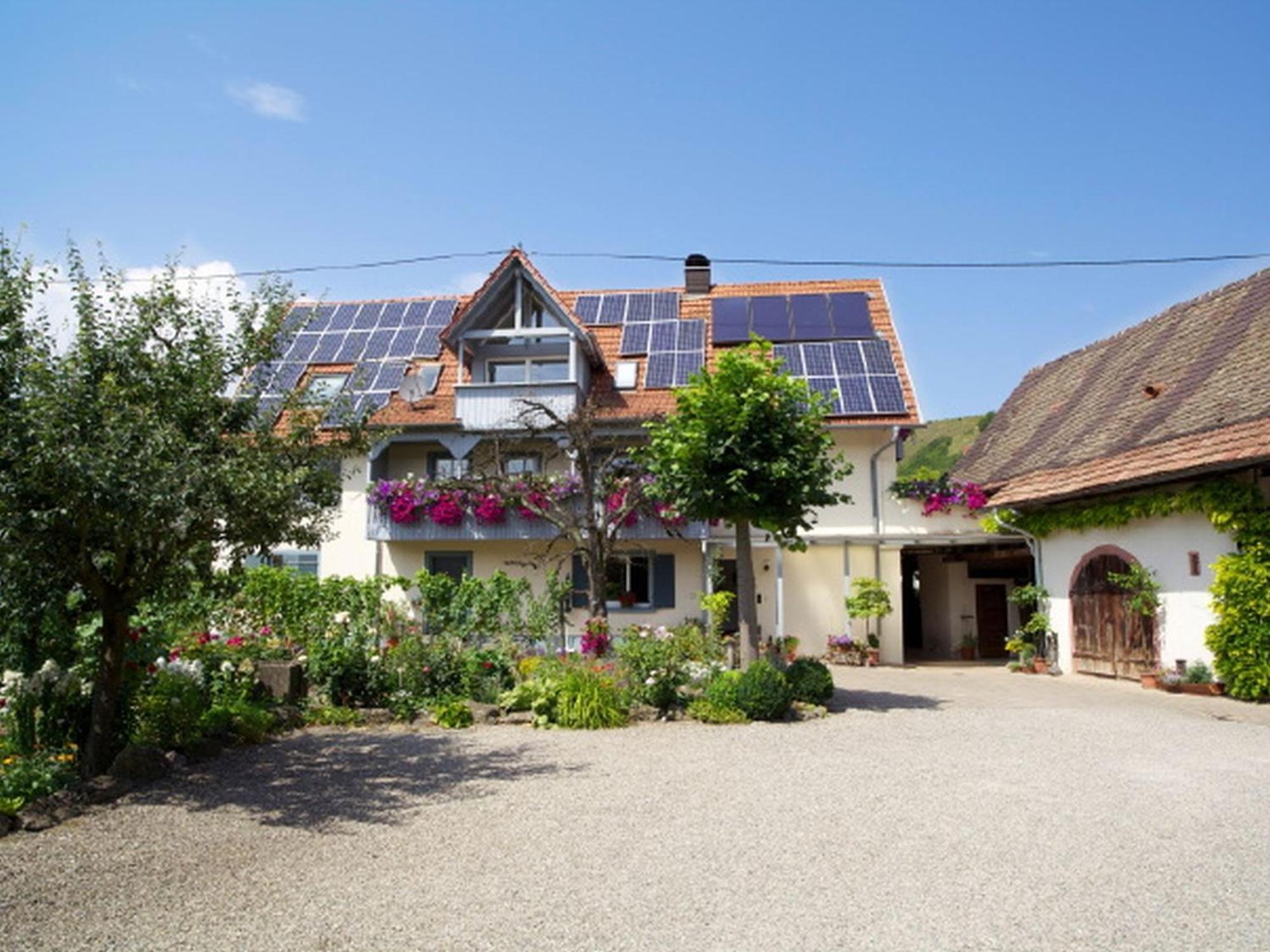 Winzerhof Bitzenhofer Apartment Vogtsburg Exterior foto